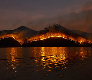 Forest fire inspection